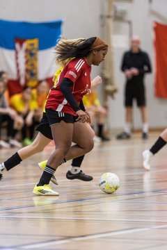Bild 568 - wBJ NFV Futsalmeisterschaft